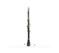 clarinetto strumento musicale Principiante Clarinetto in bachelite Sib Tubo nero opaco 17 tasti Tasti placcati in nichel