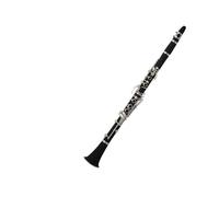 clarinetto strumento musicale Principianti in si bemolle placcato argento che classificano prestazioni professionali in ebano a 17 tasti