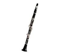 clarinetto strumento musicale Professionale Un clarinetto in ebano placcato argento. Buon materiale buona tecnologia garanzia della qualità del suono