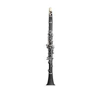 Clarinetto Strumento Musicale Si Bemolle In Ebano 17 Tasti Per Bambini Principianti Prestazioni Professionali(ABS)