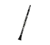 clarinetto strumento musicale Strumento per clarinetto piatto in resina ABS B per principianti per adulti performance professionale