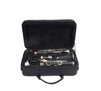 clarinetto strumento musicale Suonare il clarinetto liscio Strumento per l'esame di grado principiante Banda che suona il clarinetto a fiato in si bemolle