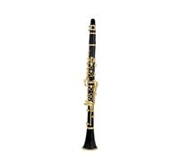 clarinetto strumento musicale Suono colorato e fluido Clarinetto in Sib Tune Bachelite Legno Chiavi dorate Strumento a fiato professionale