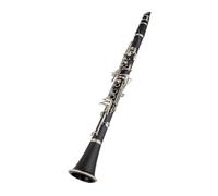 clarinetto strumento musicale Suono potente 17 tasti in bachelite si bemolle, melodia professionale per strumenti a fiato, clarinetto