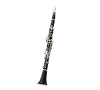Clarinetto Strumento Per Clarinetto A 17 Tasti Clarinetto In Si Bemolle Adatto A Principianti Di Prestazioni Professionali Ed Esami Di Valutazione