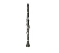 clarinetto Strumento per clarinetto in Si bemolle test di valutazione per principianti strumento per adulti 17 tasti in Si bemolle melodia in gomma dura