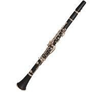 Clarinetto Strumento Strumento A Fiato Per Clarinetto In Resina ABS Piatta A 17 Tasti In Sib Con Guanti In Tessuto, Ancia E Custodia