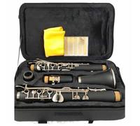 Clarinetto studentesco Clarinetto G Tune 18 20 Tasti Corpo In Resina ABS Materiale Nichelato