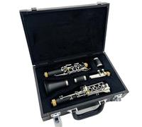 Clarinetto studentesco Clarinetto In Legno Di Bachelite CTune 17 Tasti Strumento Musicale A Tubo Nero Con Custodia