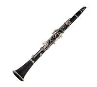Clarinetto studentesco Clarinetto Strumento Chiave Adulto Principiante Professionale Performance(Popular model)