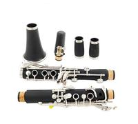 Clarinetto Tono Sib A 17 Tasti Corpo In ABS Tasti In Nichel Rame Clarinetto Con Custodia Per Il Trasporto Clarinetto per Principianti