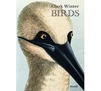 Clark Winter Birds (Copertina rigida)