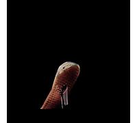 Clarks - Another Happy Ending