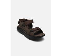 Clarks - ATL Trek Sun Marrone - Sandali e scarpe aperte 41 Marrone