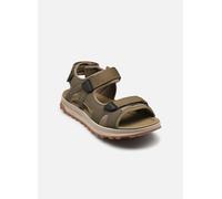 Clarks - ATL Trek Sun Verde - Sandali e scarpe aperte 41 Verde