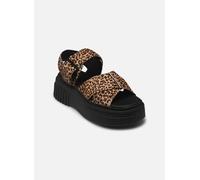 Clarks - Evamar Wish Marrone - Sandali e scarpe aperte 41 Marrone