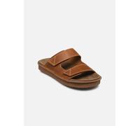 Clarks - Litton Strap Marrone - Sandali e scarpe aperte 41 Marrone