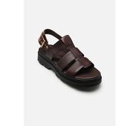 Clarks - Orinoco3 Strap Marrone - Sandali e scarpe aperte 39 Marrone