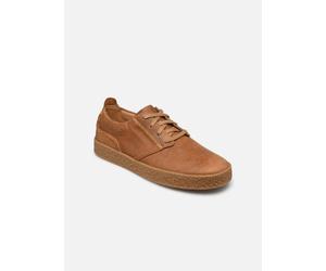 Clarks - StreethillLace Marrone - Scarpe con lacci 39 1/2 Marrone