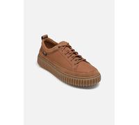 Clarks 26329461c Torhill Lace Tan 42 EU
