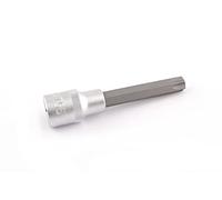 CLAS Equipements Portalampada attacco torx T55 L.100mm 1/2'' - SA 0280