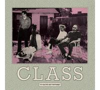 Class If You've Got Nothing (Vinyl LP)