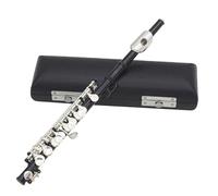 Classi di musica e spettacoli, ideale per studenti e principianti - C Tune, 16 fori E Key Piccolo con accessori e custodia protettiva