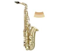 Classic Cantabile Winds AS-450 Spazzolato Eb Sassofono Alto - Accordatura Es - Chiave Fa# Alta - Set Risparmio incl. 10 Ance per Sassofono