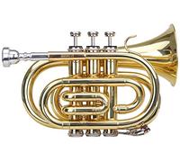 Classic Cantabile Brass TT-400 Tromba Tascabile in Sib, ottone, campana 93 mm, foro 11,8 mm, intonazione Sib, con custodia leggera, bocchino, panno pulizia e guanti, verniciata trasparente.