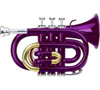 Classic Cantabile Brass TT-400 Tromba Tascabile in Sib viola, Foratura: 11 | Materiale: ottone, Diametro campana: 93 mm, 8 mm, Accordatura: Sib, Colore: verniciato viola, Verniciata in viola, Filosofia