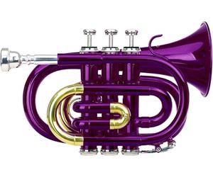 Classic Cantabile Brass TT-400 Tromba Tascabile in Sib viola, Foratura: 11 | Materiale: ottone, Diametro campana: 93 mm, 8 mm, Accordatura: Sib, Colore: verniciato viola, Verniciata in viola, Filosofia