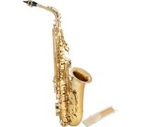 Classic Cantabile Winds AS-450 Es Sassofono Alto - Accordatura Eb - Chiave High-Fis - Set Risparmio incl. 10 Ance per Sassofono