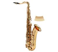 Classic Cantabile Winds TS-450 Sassofono Tenore Bb - Accordatura Bb - Chiave Fa# alta - Set Risparmio con 10 Ance per Sassofono