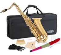 Classic Cantabile Youngstar AS-420 Set Ance Sax Contralto, Generale
