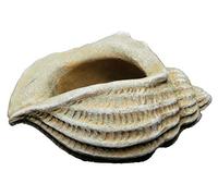 Classic Home and Garden - Vaso per piante grasse in cemento, per interni ed esterni, colore: sabbia, 12,7 cm