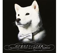 White Orchestra - Classic Music From The White Family