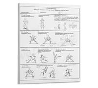 Classical Chen Style Tai Chi Poster A Guide to Its Martial Essence Canvas Wall Art for Practitioners and Collectors Gift(Framed,16x24inch(40x60cm))