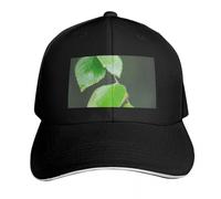 Classiche foglie di betulla verde con gocce d'acqua dopo il primo piano della pioggia Berretto da baseball berretto tattico Cappello da spiaggia Donna Uomo Essenziale per l'autunno e l'estate