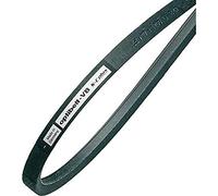 Classico Cinghia Trapezoidale 10 X 1120