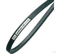 Classico Cinghia Trapezoidale 17 X 1600