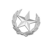 Classico covone di grano con stella distintivo in metallo versatile gioielli accento grano stella spilla pin per il miglioramento del vestito elegante spilla da bavero, Grande, come descritto
