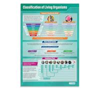 Classification Poster Living Things Biology Chart