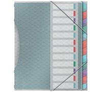 Classificatore Color'Breeze Esselte con 12 Schede Multicolor - Per Format A4 - 3 Alette sul Retro - Polipropilene Goffrato - Ch NEW