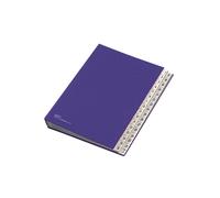 Classificatore numerico 1/31 - 643D - 24x34 cm - blu - Fraschini