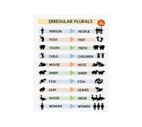 Classroom Decor Irregular Plural Nouns Poster English Grammar Educational Wall Art Print Canvas for Teachers Students Language Arts Learning(Unframed,16X24inch(40X60cm))