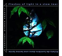 Claude Evence Jansse Claude Evence Janssens: Flashes of Light in a Slow Te (CD)