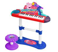 CLAUDIO REIG - Organo con Micro, PIEDI E BANCHETTA (2353)