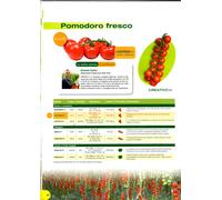 clause sementi pomodoro rosso PUMATIS B X 5000 PILLOLE Squadrato determinato