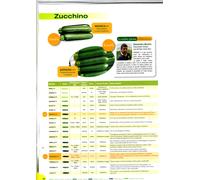 clause sementi zucchino verde lucido melodia fi , busta x1000 sem cilindrico