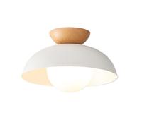 CLAYHU Lampada da soffitto ad aspirazione con paralume in ferro semplice giapponese, plafoniera da incasso per soggiorno camera da letto, corridoio che entra nel portico, balcone, guardaroba